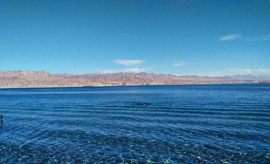 Red Sea Garden Apartment Eilat